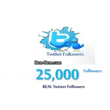 25,000 Twitter Real Followers